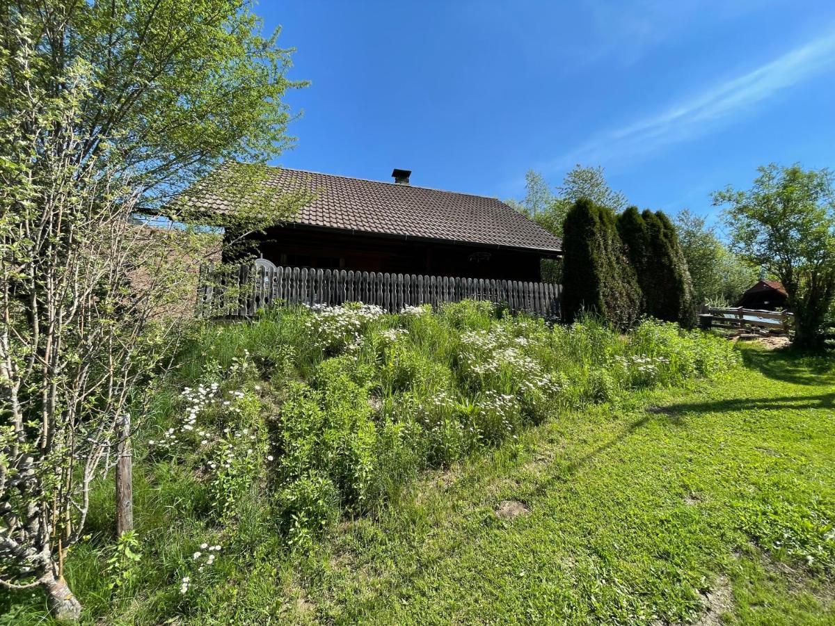 Villa Ferienhuette Bosic Baierdorf Esterno foto