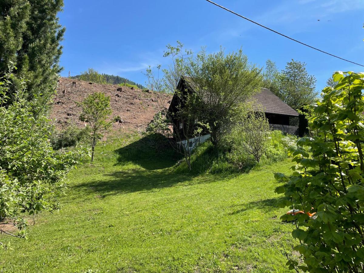 Villa Ferienhuette Bosic Baierdorf Esterno foto